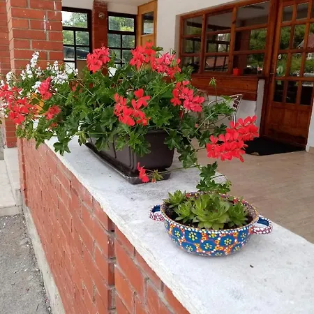 Dunja I Milos * Mokra Gora